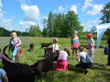 Dzień Łąki na Polu Nieborowskim z Fundacją „Kwietna” , 